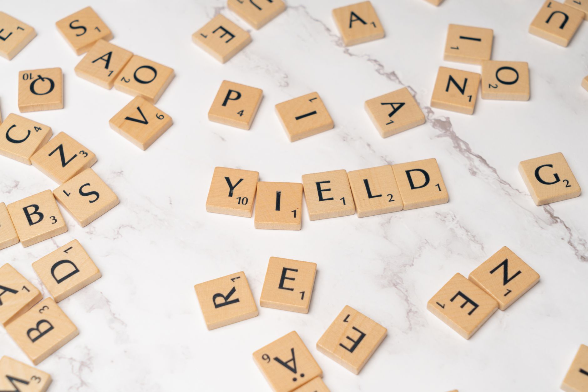 Highest dividend yield stocks: Proven picks for investors